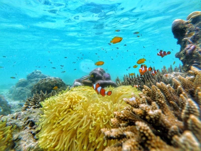 Gili Ketapang