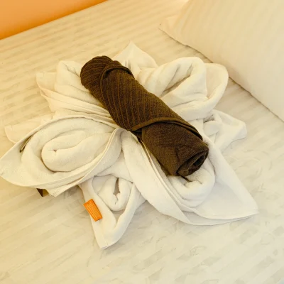 Towel
