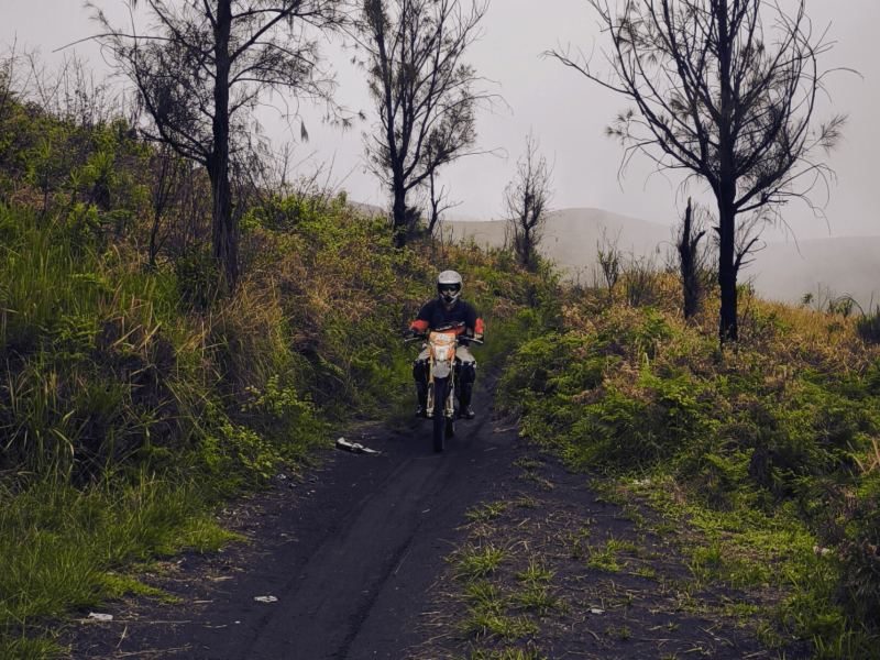 backpacker friendly stays near Bromo